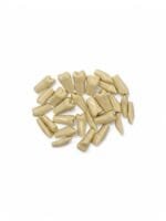 32 dinti de schimb detasabili pentru modelul dentar FRASACO.