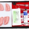 NERVESKILL 19 Kit practică suturi stomatologie cu pensă Pean, port-ac Mayo-Hegar, pensă chirurgicală, mâner bisturiu, foarfecă, model de silicon pentru arcade dentare și 10 fire de sutură din nylon 3/0