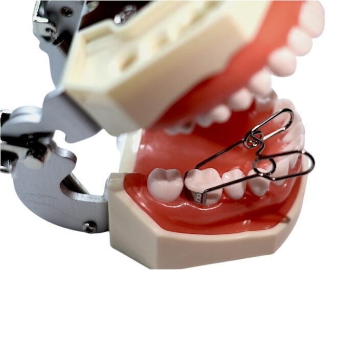 Aplicare matrici pe model dentar de practică stomatologică
