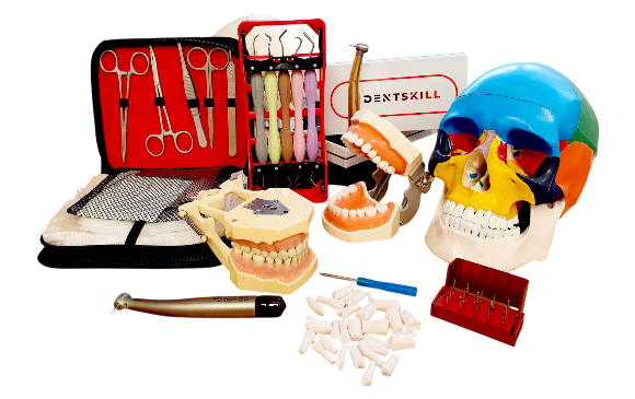 NERVESKILL 15