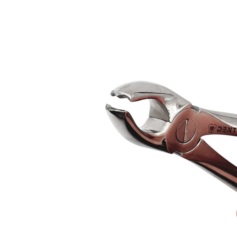 Detaliu cu designul anatomic al fălcilor cleștelui de extracție Nr. 17.