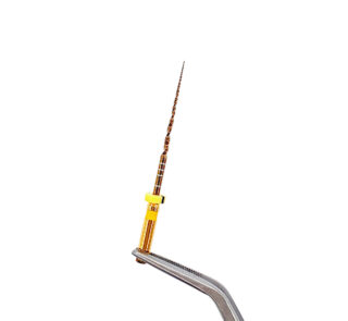 Detaliu cu secțiunea rectangulară excentrică a acelor NC ENDO Protaper+ (tip Protaper Next).