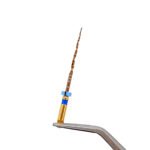 Sistem Ace Rotative ProTaper+ NC ENDO (Tip Protaper Next) - imagine 4